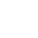Human Brain